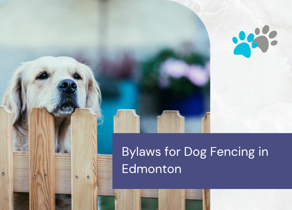 Dog Fencing in Edmonton