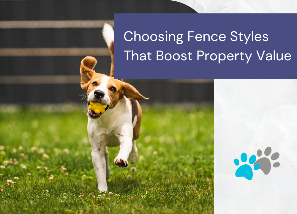 Dog Fencing in Edmonton