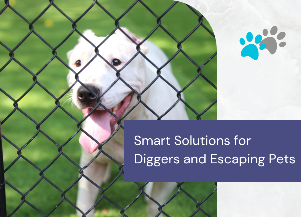 Dog Fencing in Edmonton