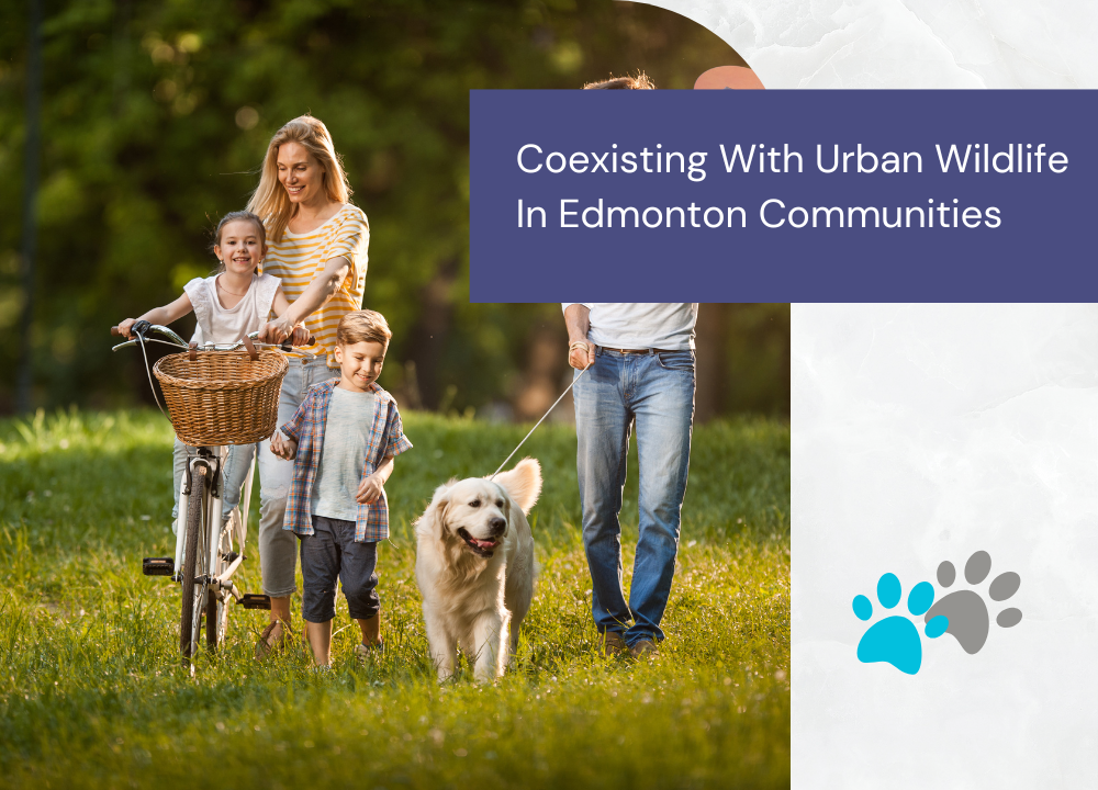 Edmonton Dog Owners Guide