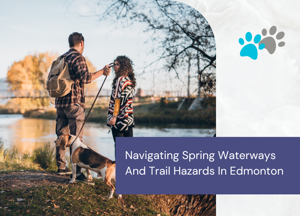 Edmonton Dog Owners Guide