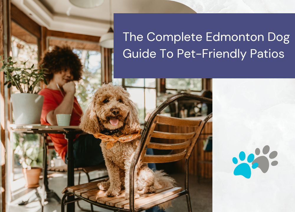 Edmonton Dog Owners Guide