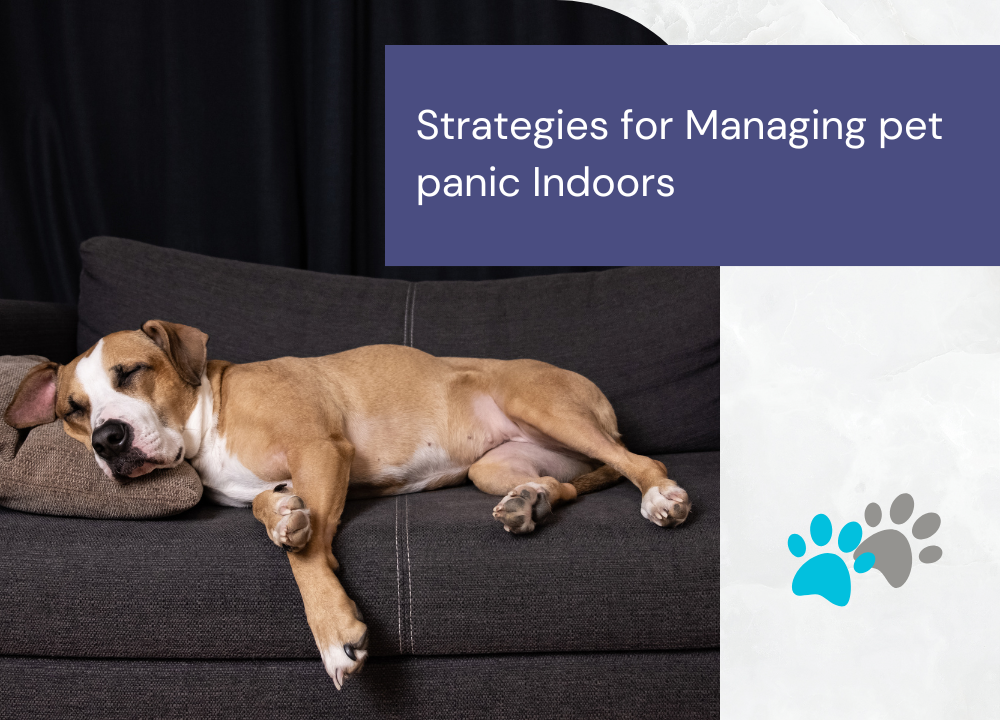 Managing pet panic