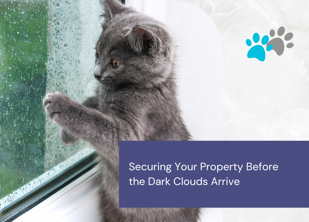 Managing pet panic