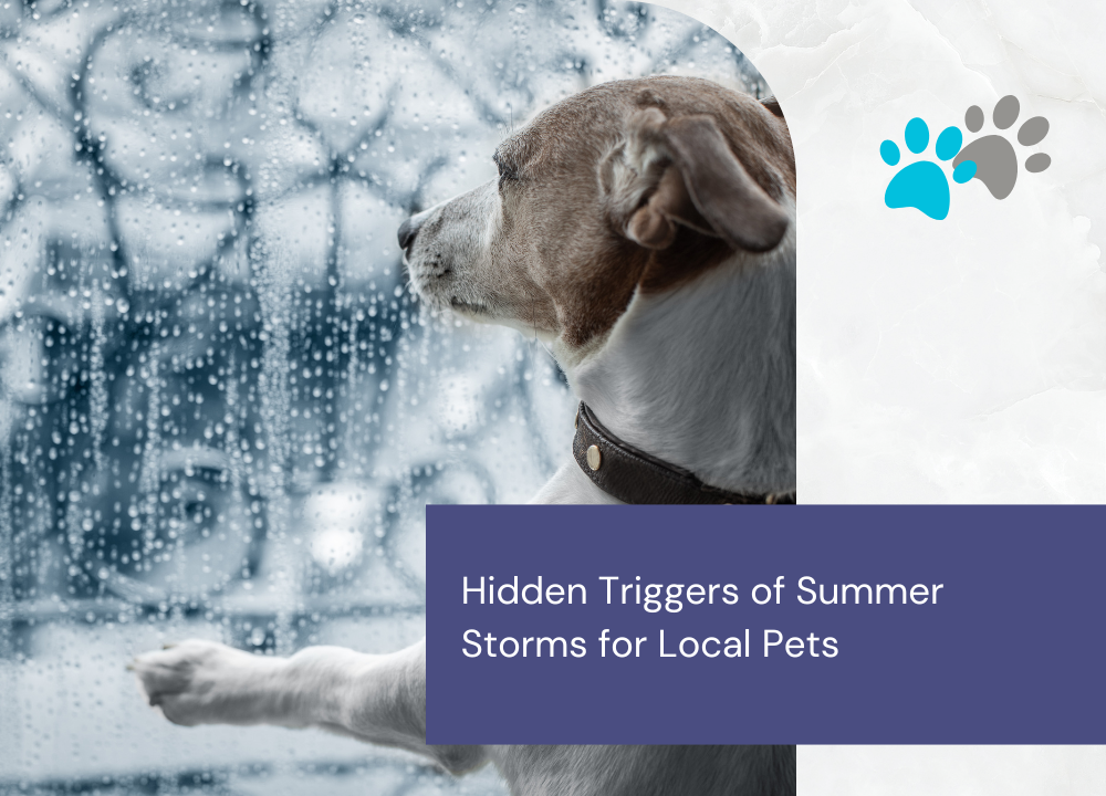 Managing pet panic
