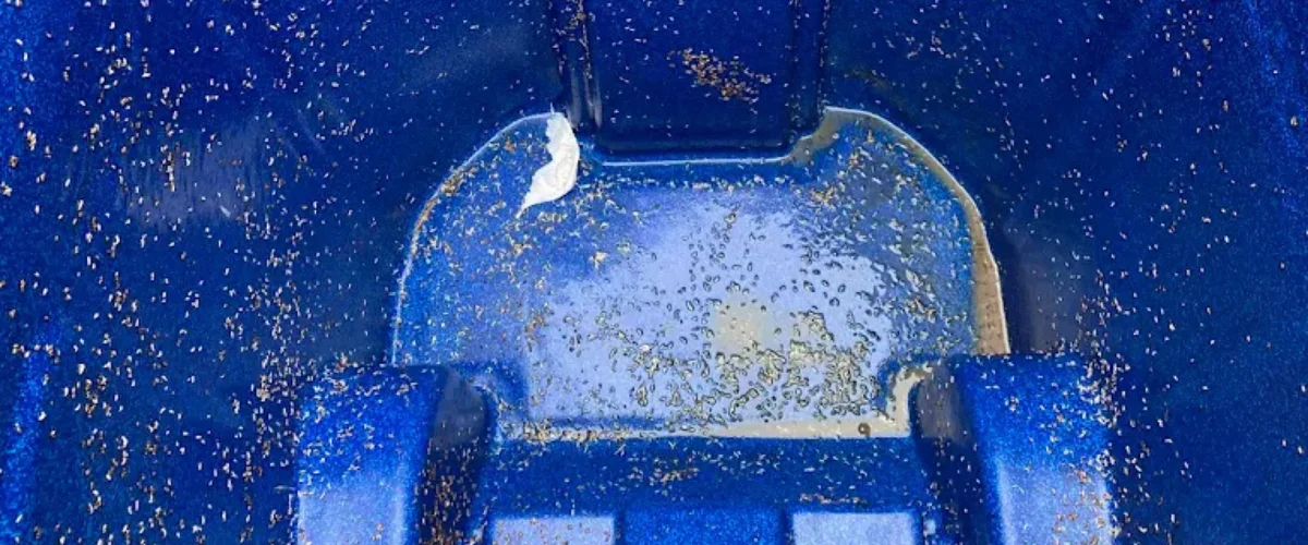Close-up of a dirty, wet, dark blue plastic bin with cigarette butts, a nail, and grime inside.
