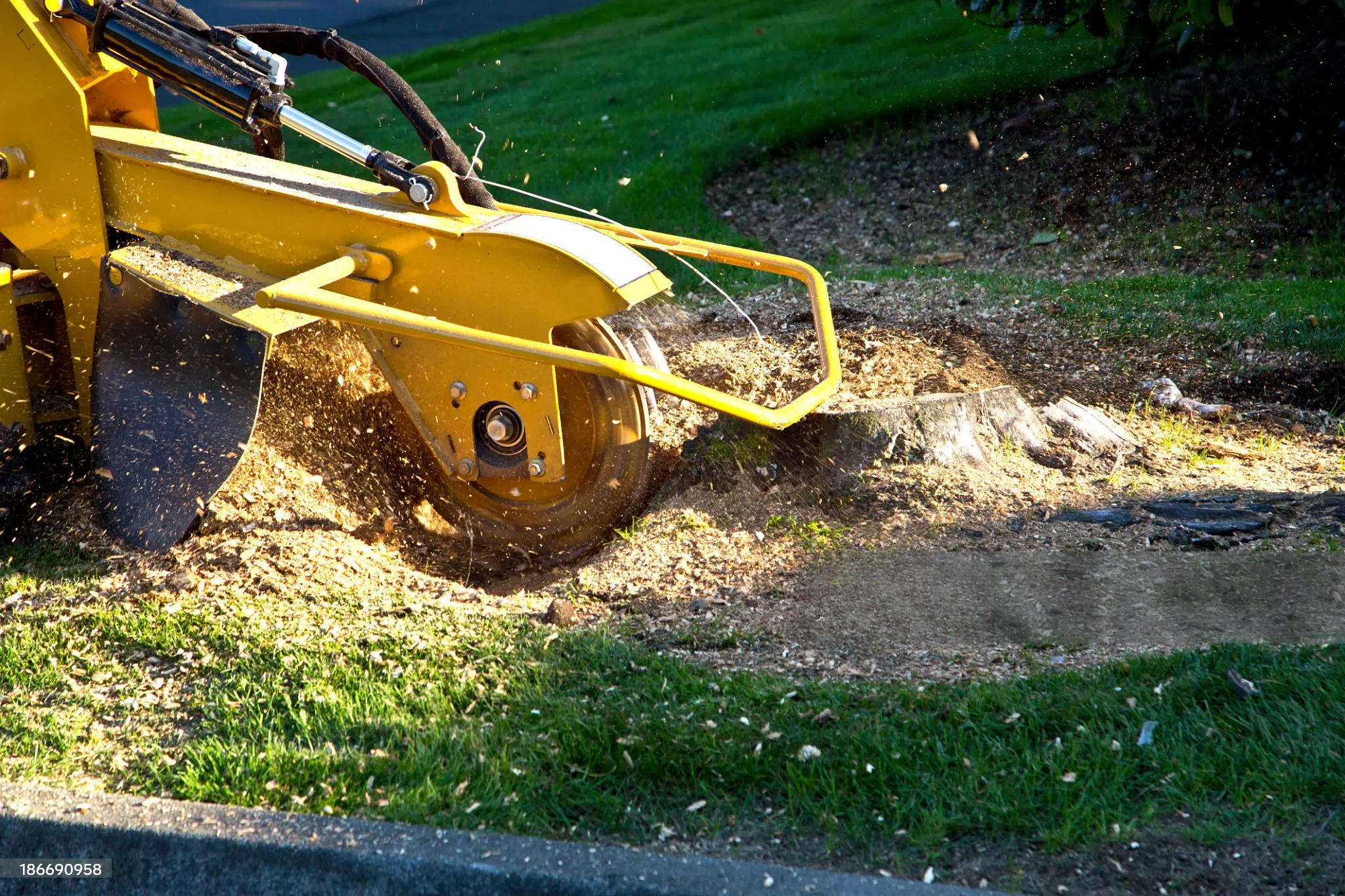 Landscaping Service