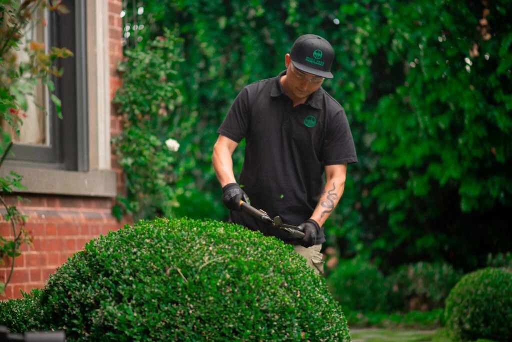 Trimming