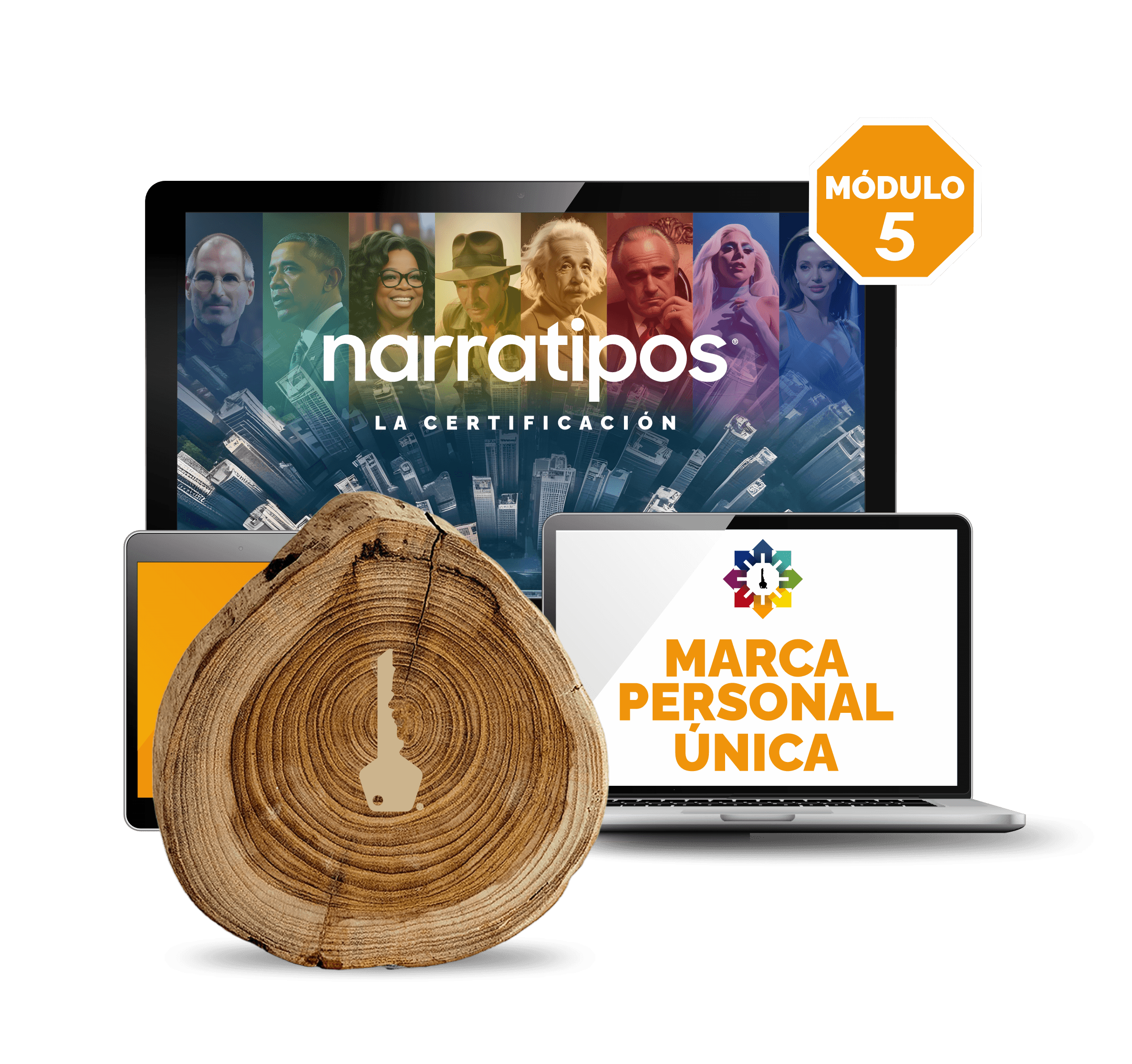 Visual del Módulo 5