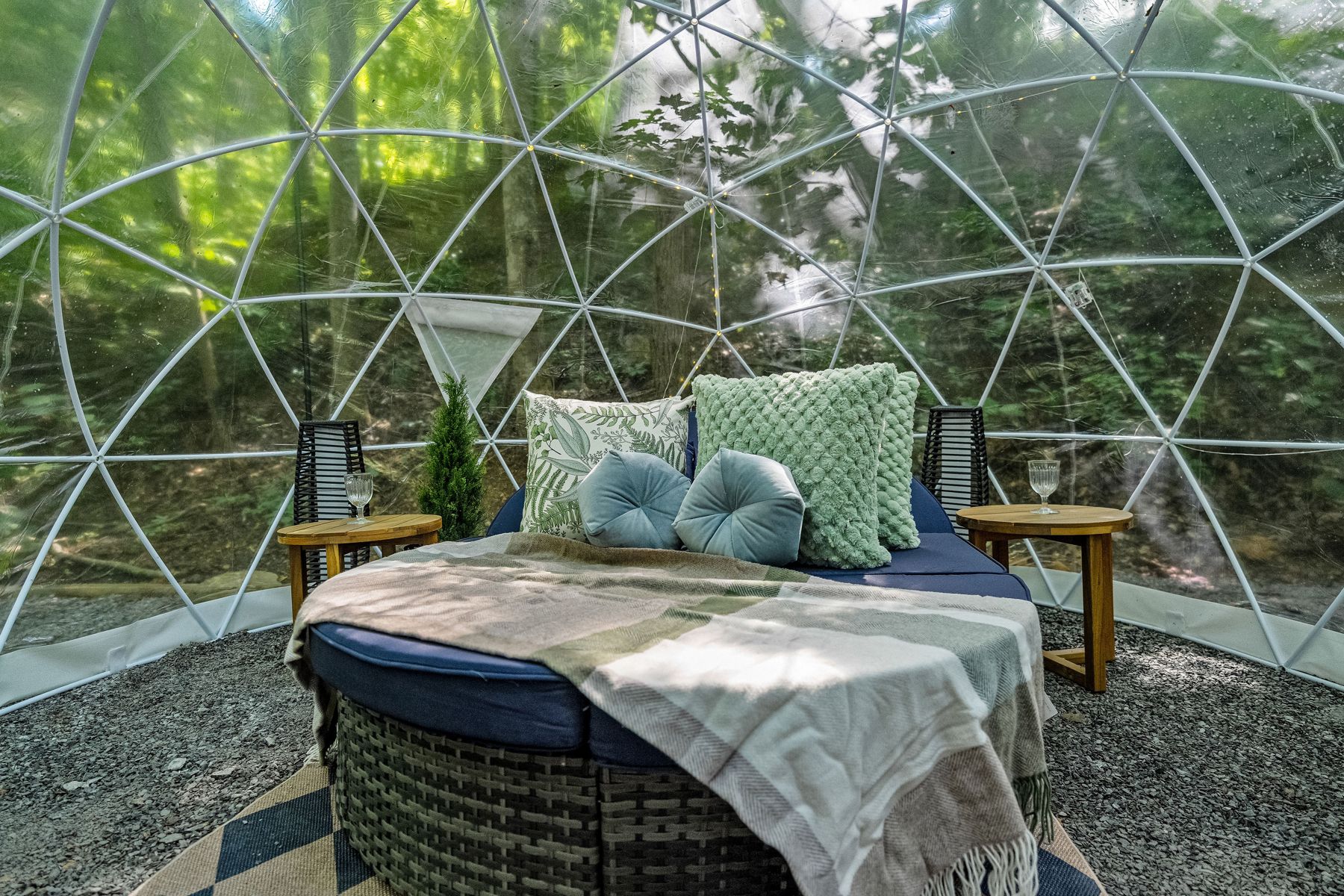 Inside the dome, a cushioned daybed looking out at the forest