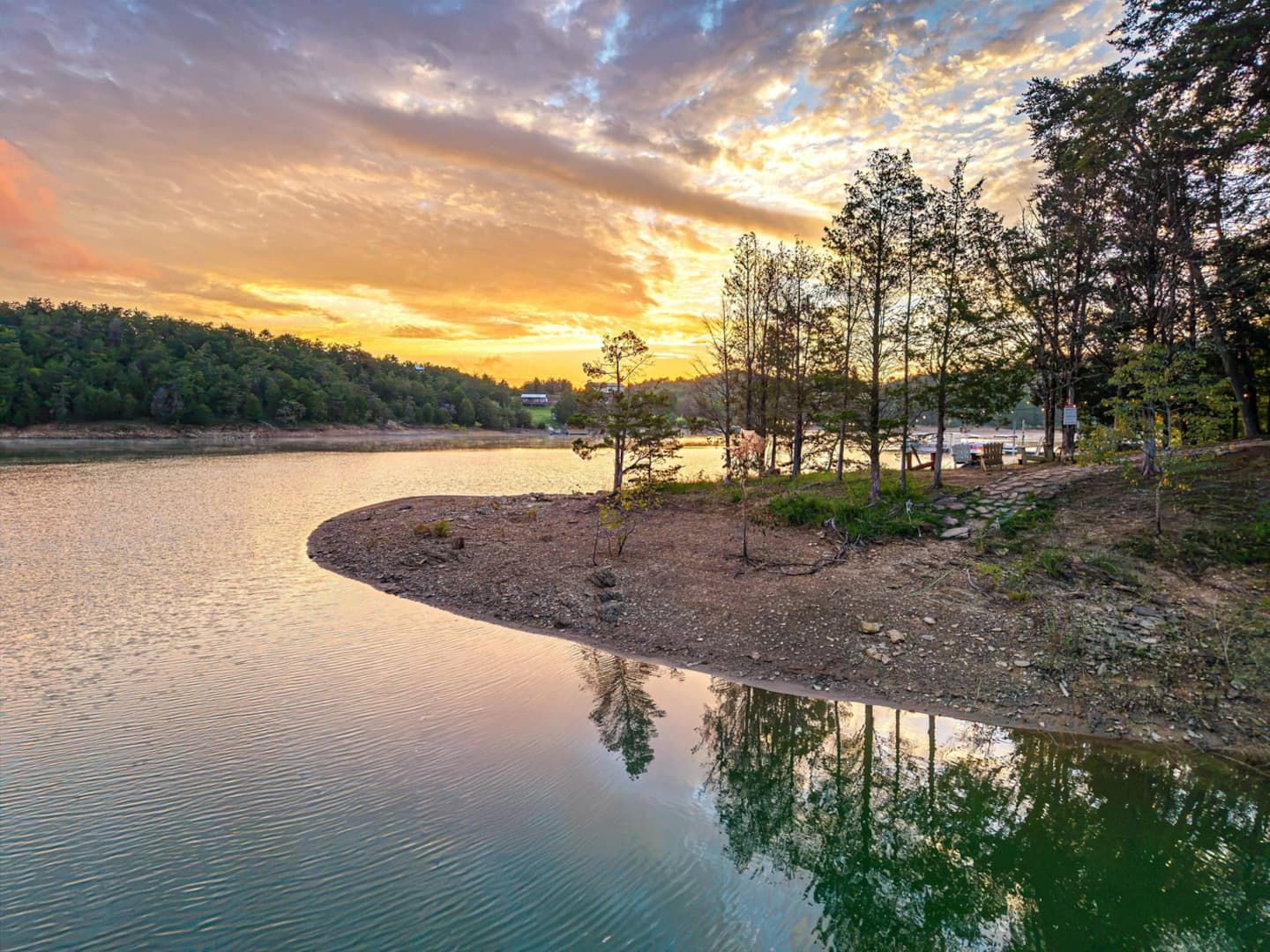 Sunrise over the cove. Coffee in hand, Douglas Lake to yourself, and the best hour of the day belongs to whoever gets up for it.
