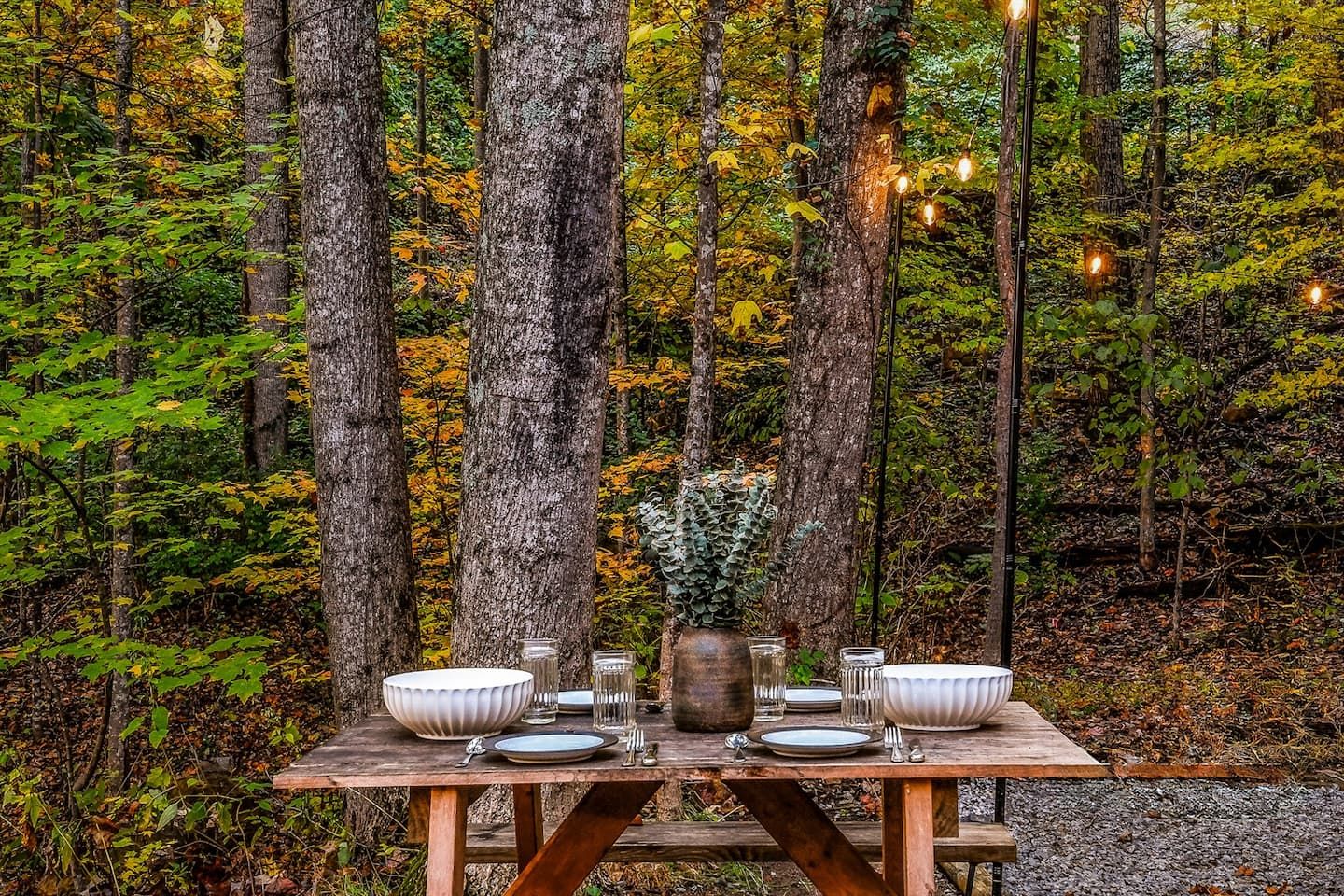 Tucked among the trees, the picnic table offers a serene spot to dine, play games, or linger over conversation. Surrounded by the forest, it’s where simple moments feel a little more special.