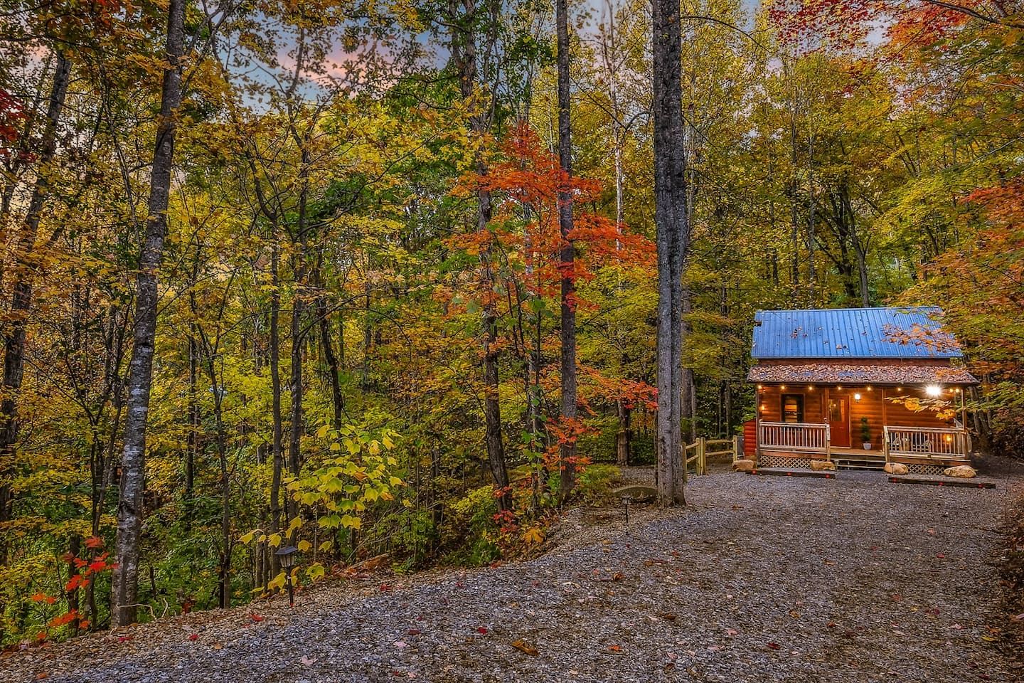 At the end of the drive, Bluebird’s Perch comes into view — a quiet cabin tucked among the trees, promising warmth, comfort, and a peaceful return after each day’s adventure.