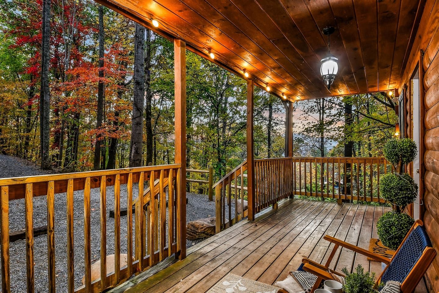 The gentle stillness of the forest wraps around the cabin, setting the tone for the calm and comfort that await inside.