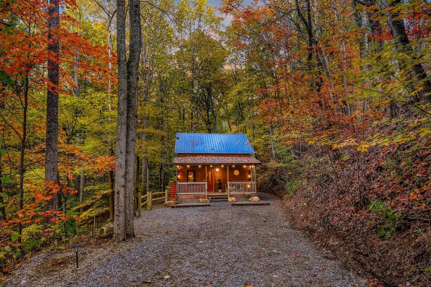Framed by tall trees and soft mountain light, Bluebird’s Perch sits quietly in the woods — a welcoming retreat where the world slows down the moment you arrive.