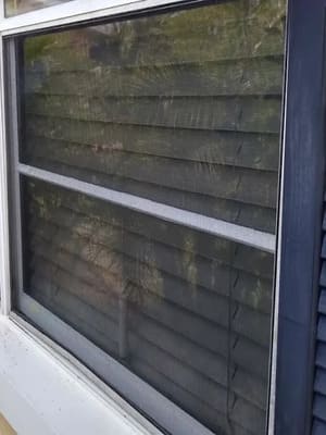 {{ custom_values.service_3 }} in {{custom_values.area_3})