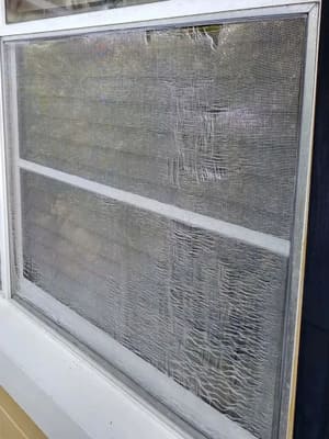 {{ custom_values.service_3 }} in {{custom_values.area_3})