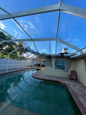 New Window Screens in Clearwatwer