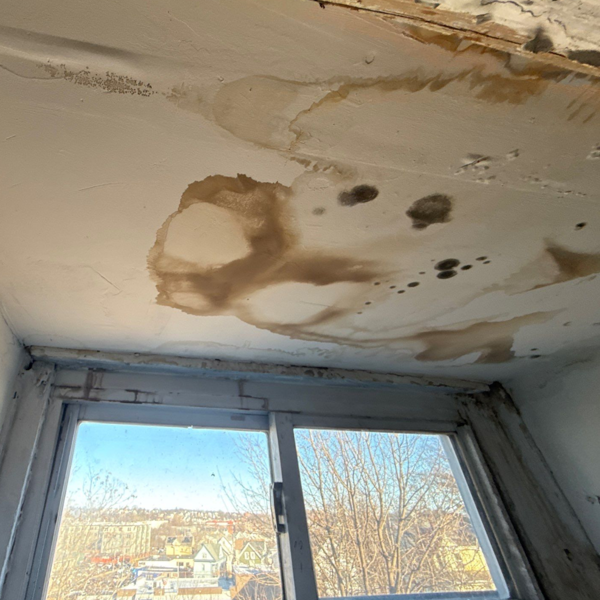 ceiling water damage from roof leak in Melrose MA caused by asphalt shingle failure