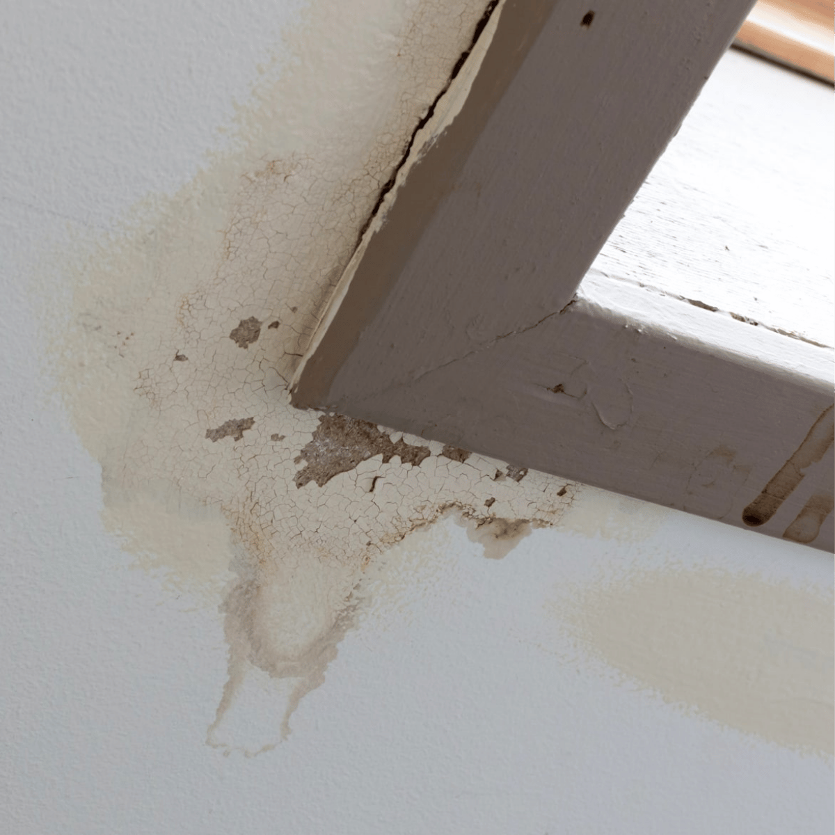Skylight leak causing ceiling water stains and interior damage in Melrose MA