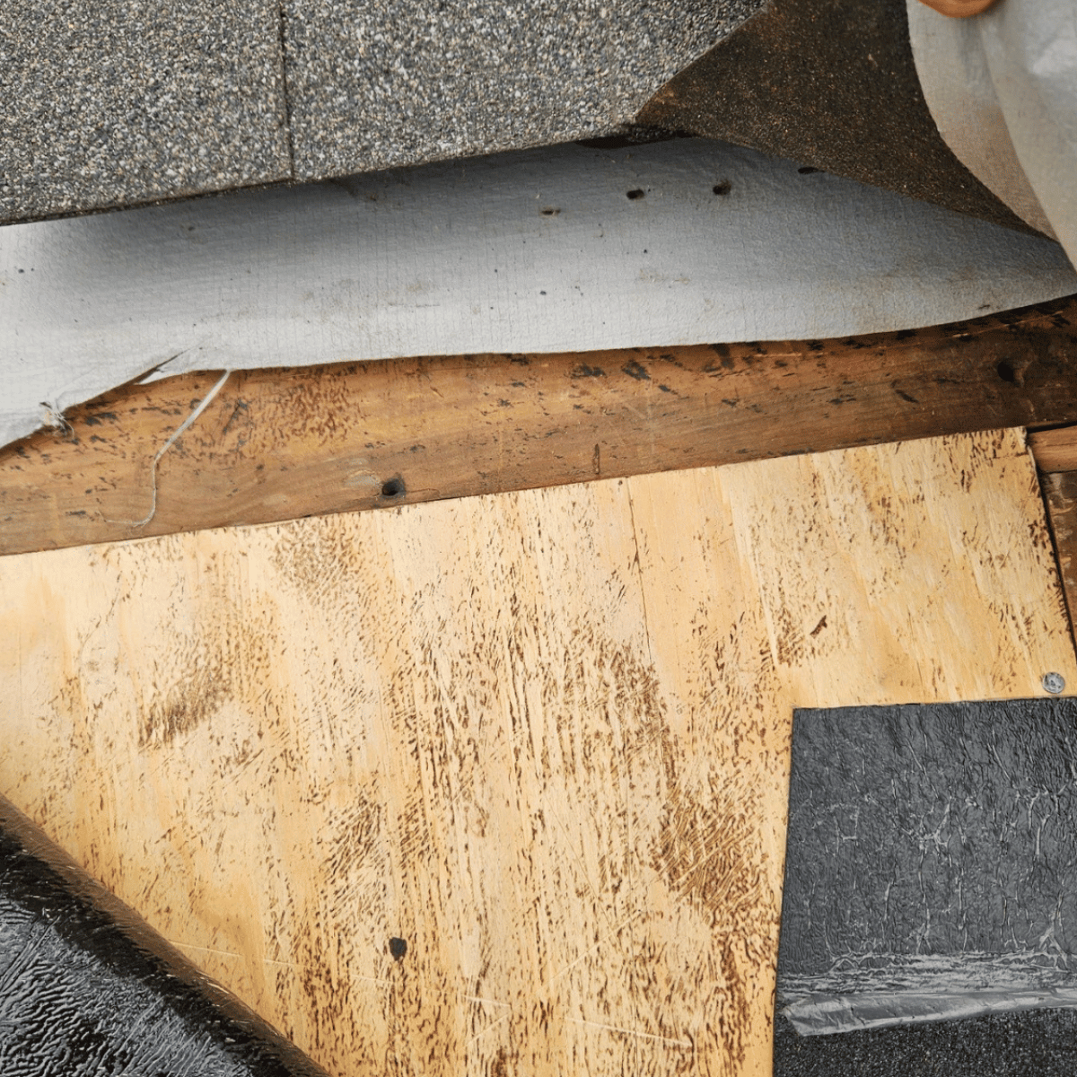 Asphalt Roof Damage