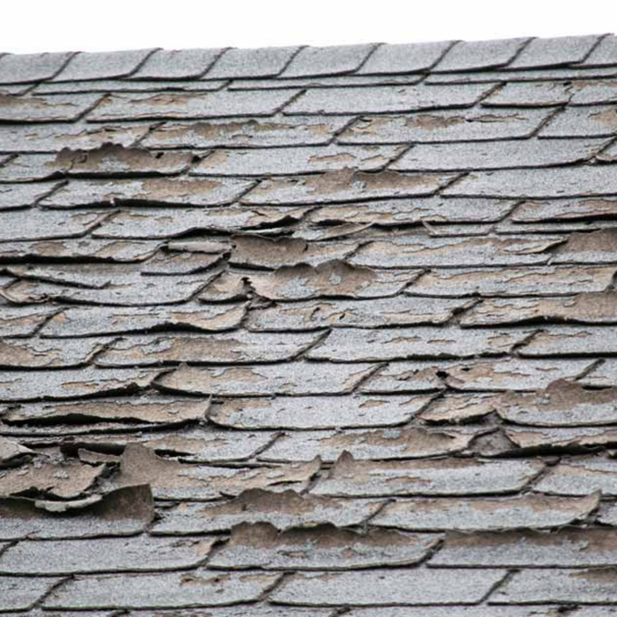 aging roof shingles before replacement