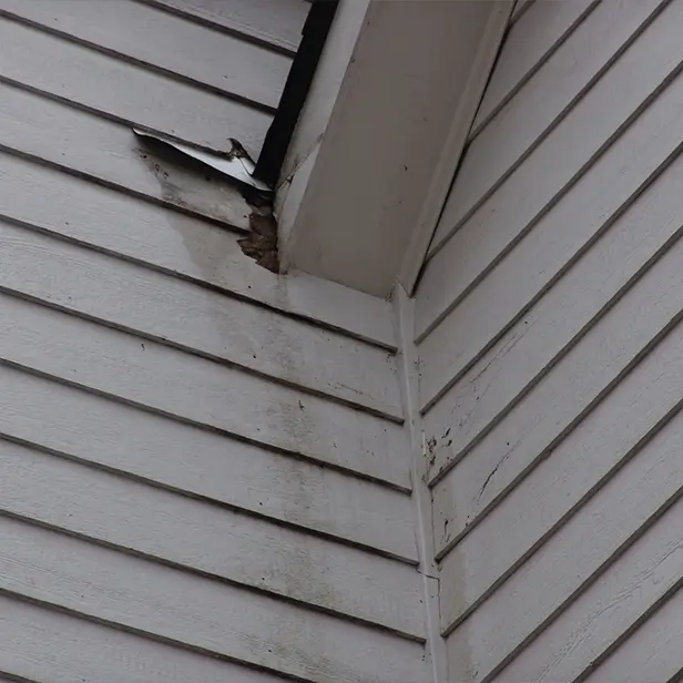 Exterior wall streaks from poor gutter drainage system