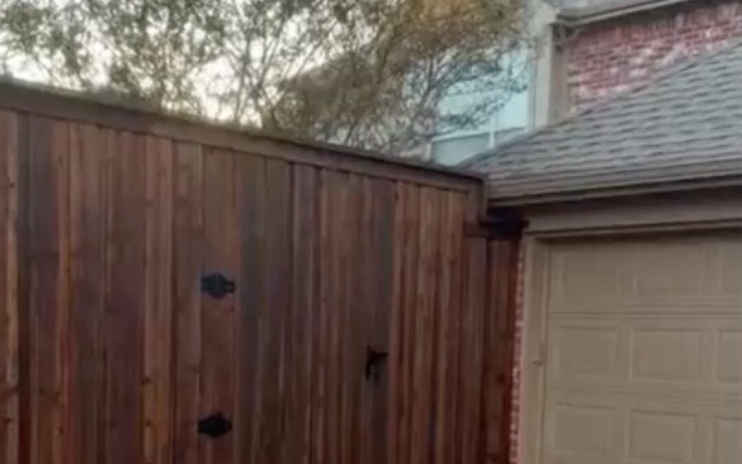 Privacy fence replacement in Frisco
