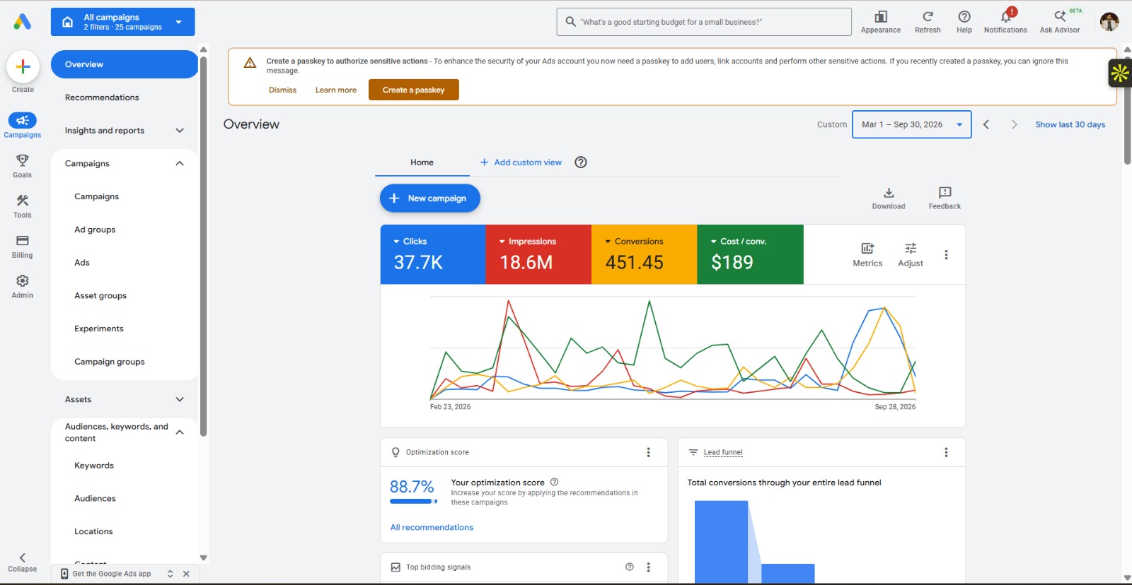 Google Ads overview dashboard