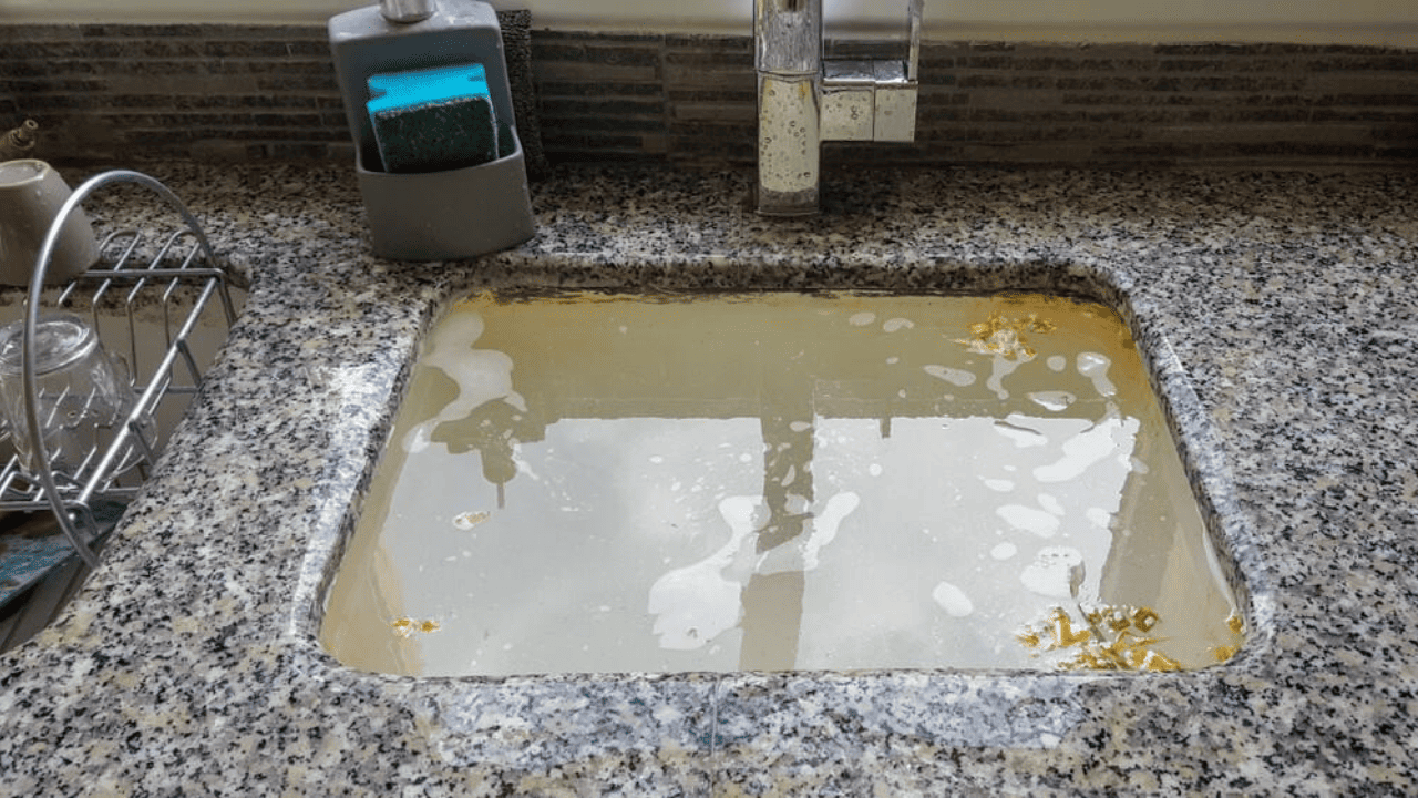 Drain Cleaning & Clog Removal