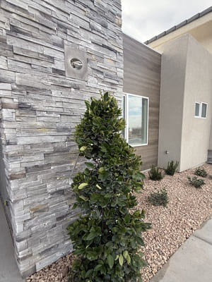 {{ custom_values.service_3 }} in {{custom_values.area_3})