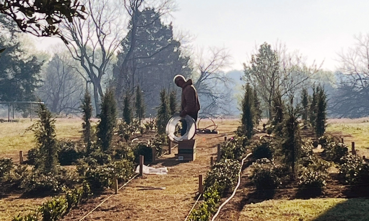 Outdoor lawn irrigation system installation in a Columbus, MS yard