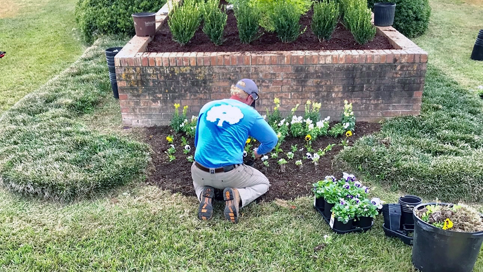 Crew performing leaf removal and pruning during fall clean-up in Columbus, MS