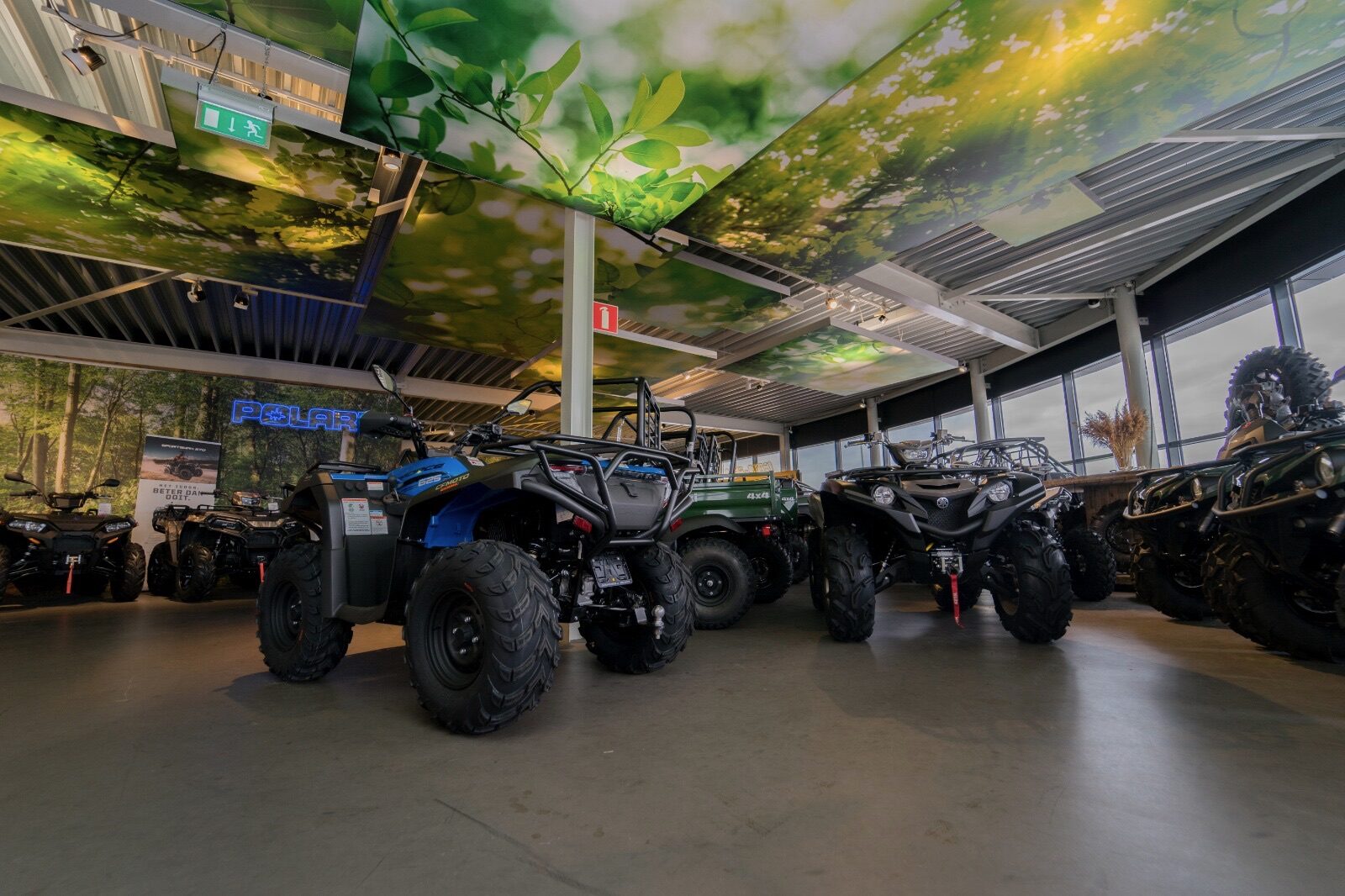 Showroom van Quadwinkel met een boslandschap op de wanden en een bladerdak op het plafond