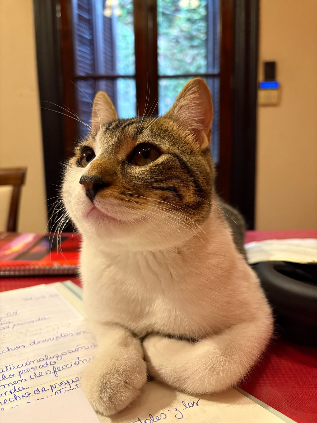 Foto ilustrativa del Plan Mimos