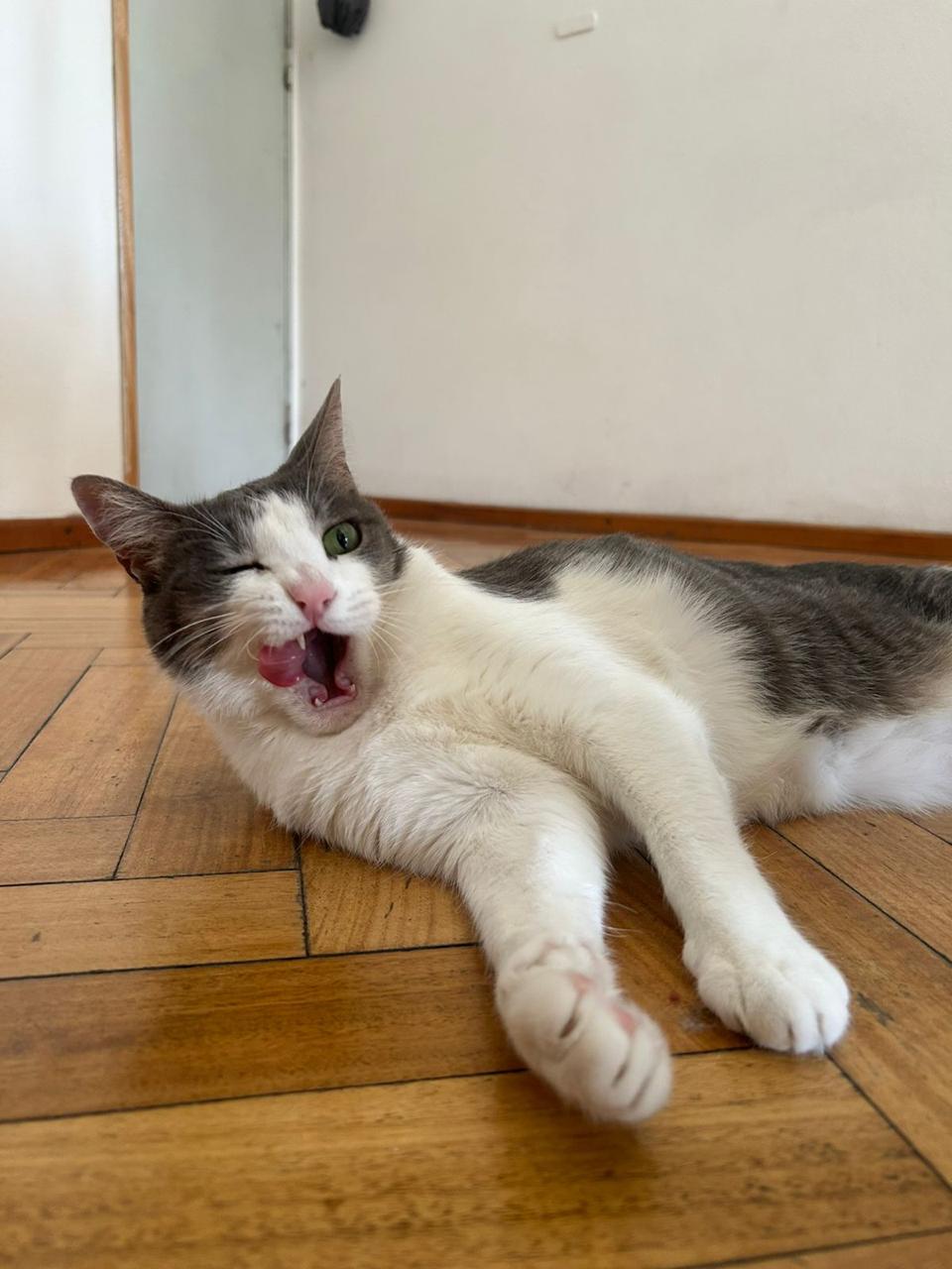 Foto ilustrativa del Personalizado