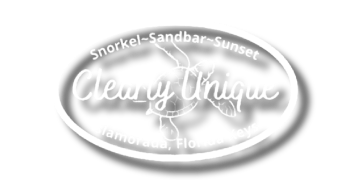 Clearly Unique Charters Logo