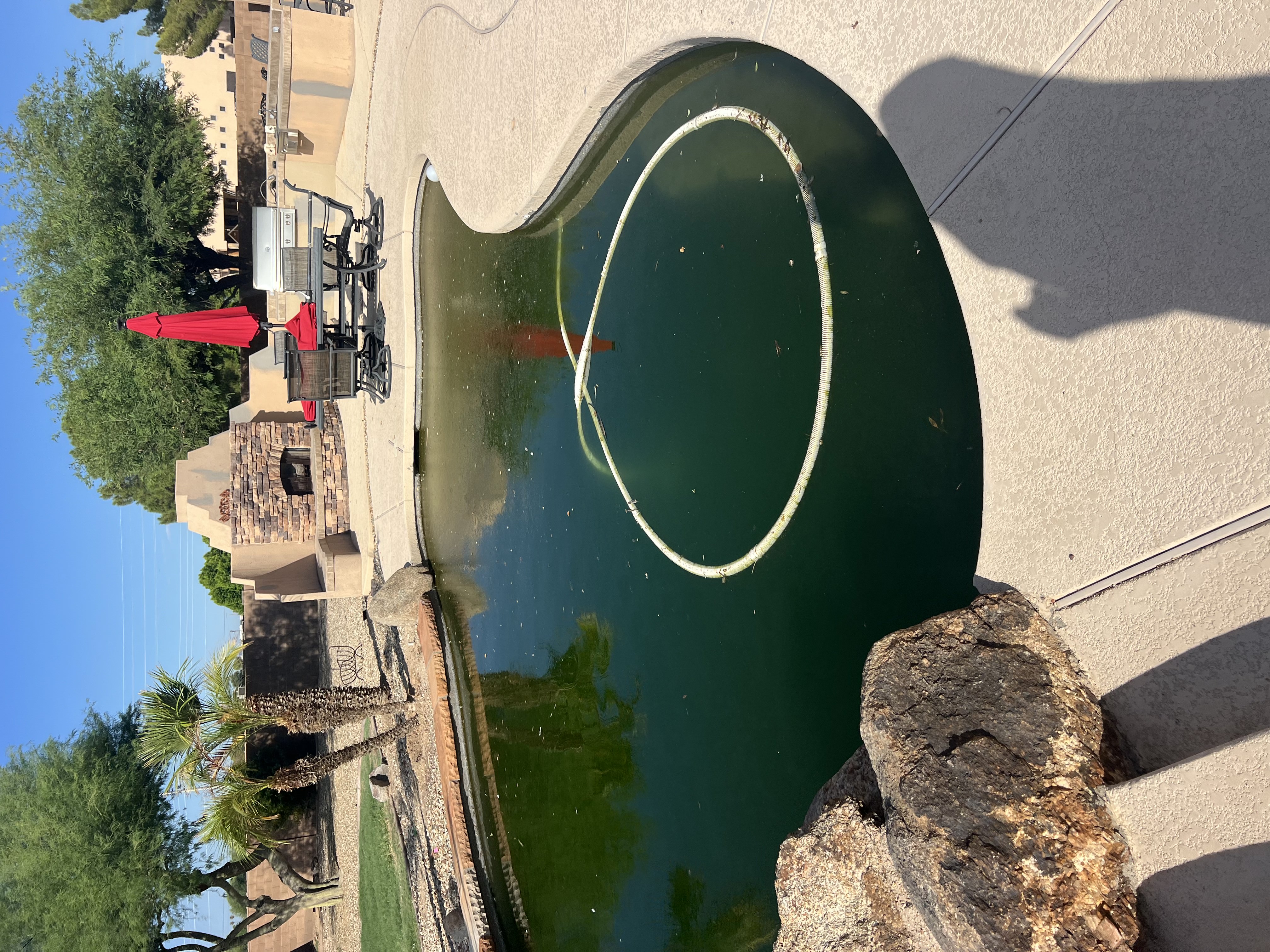 Chlorine Wash Before