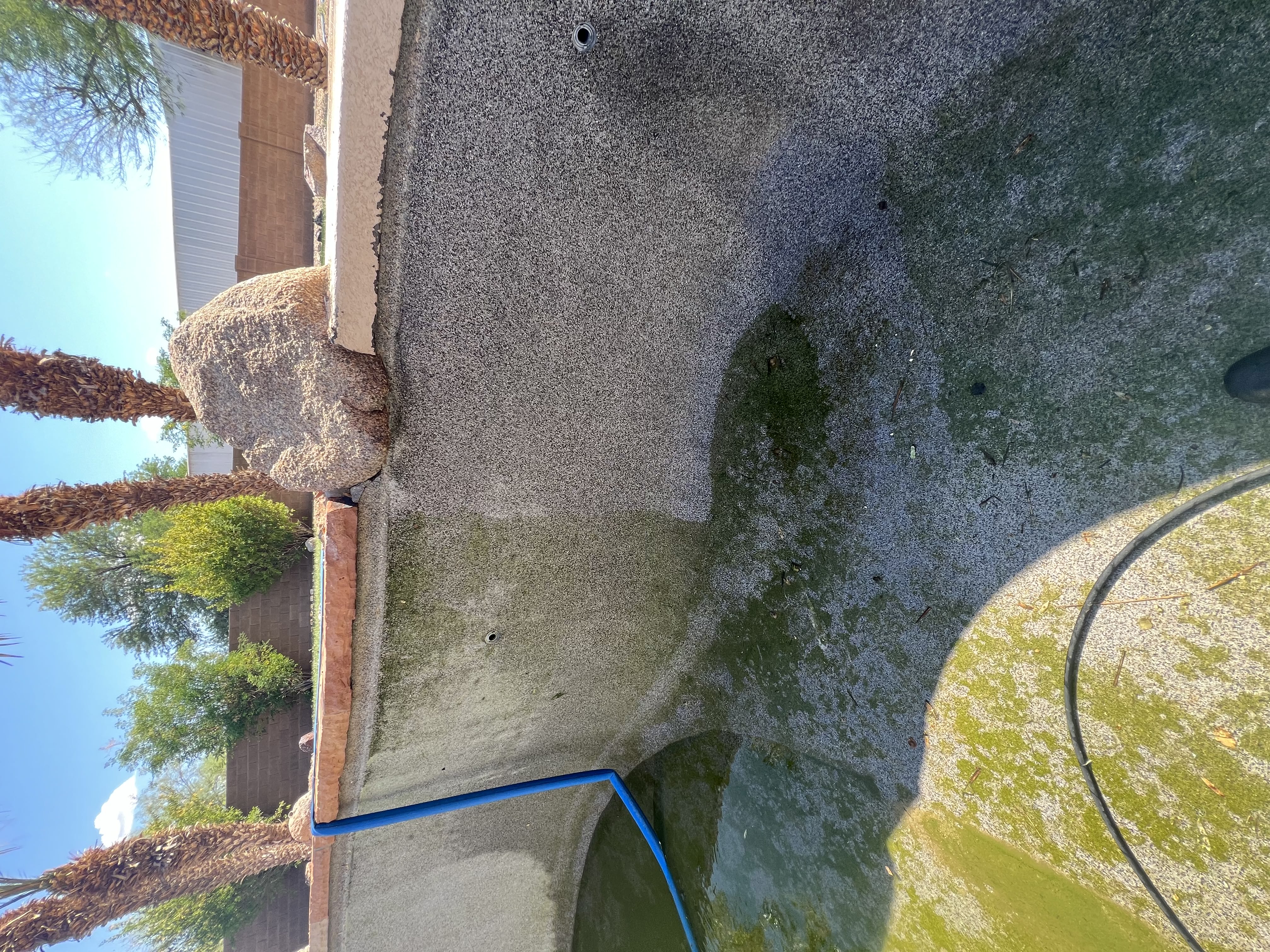 Chlorine Wash During