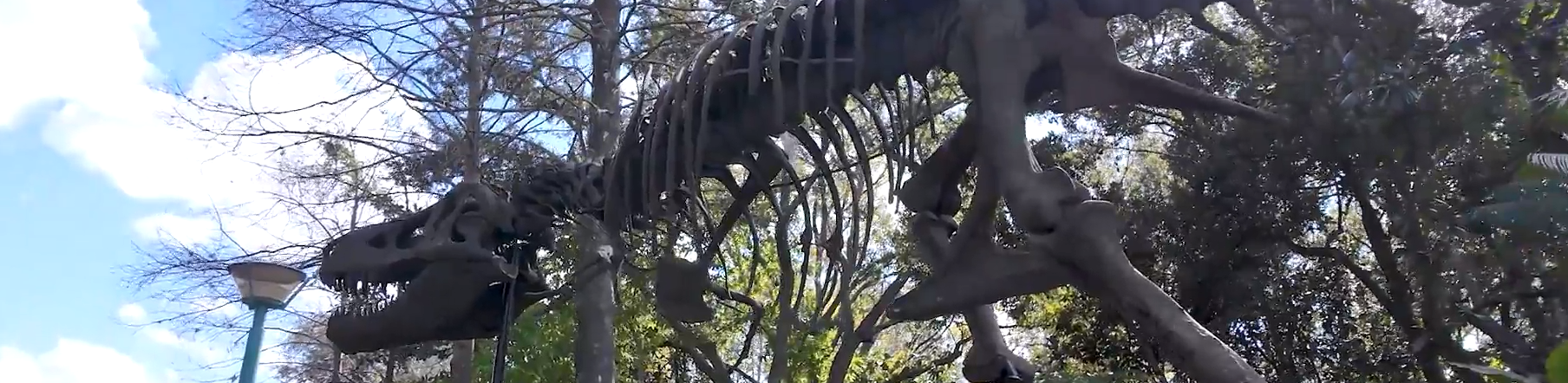 dinosaur cast replica