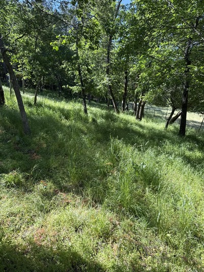 Landscaping in Medford