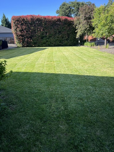 Irrigation in Medford