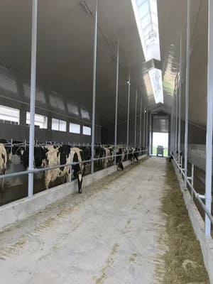 {{ custom_values.service_3 }} in {{custom_values.area_1})