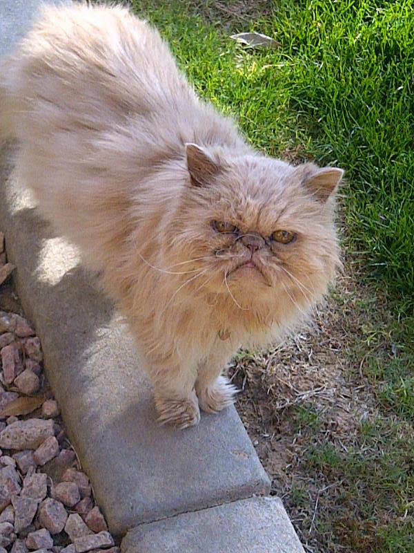 Barbara, Scottsdale, Arizona