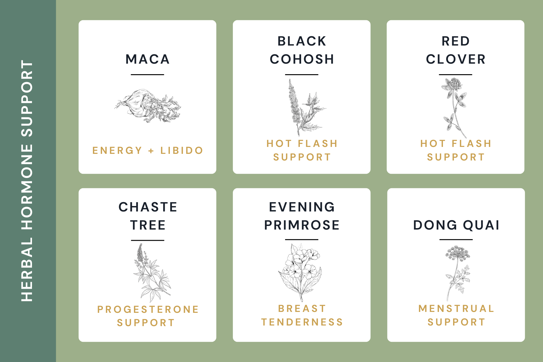Graphic showing herbal hormone support including maca for energy and libido, black cohosh and red clover for hot flash support, chaste tree for progesterone support, evening primrose for breast tenderness, and dong quai for menstrual support