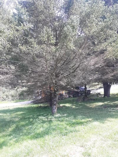 {{ custom_values.service_1 }} in {{custom_values.area_3})