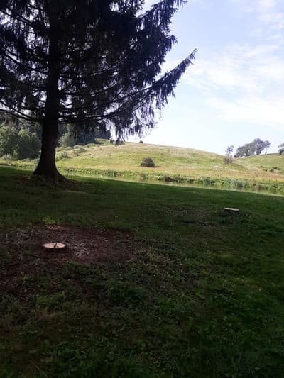 {{ custom_values.service_2 }} in {{custom_values.area_3})