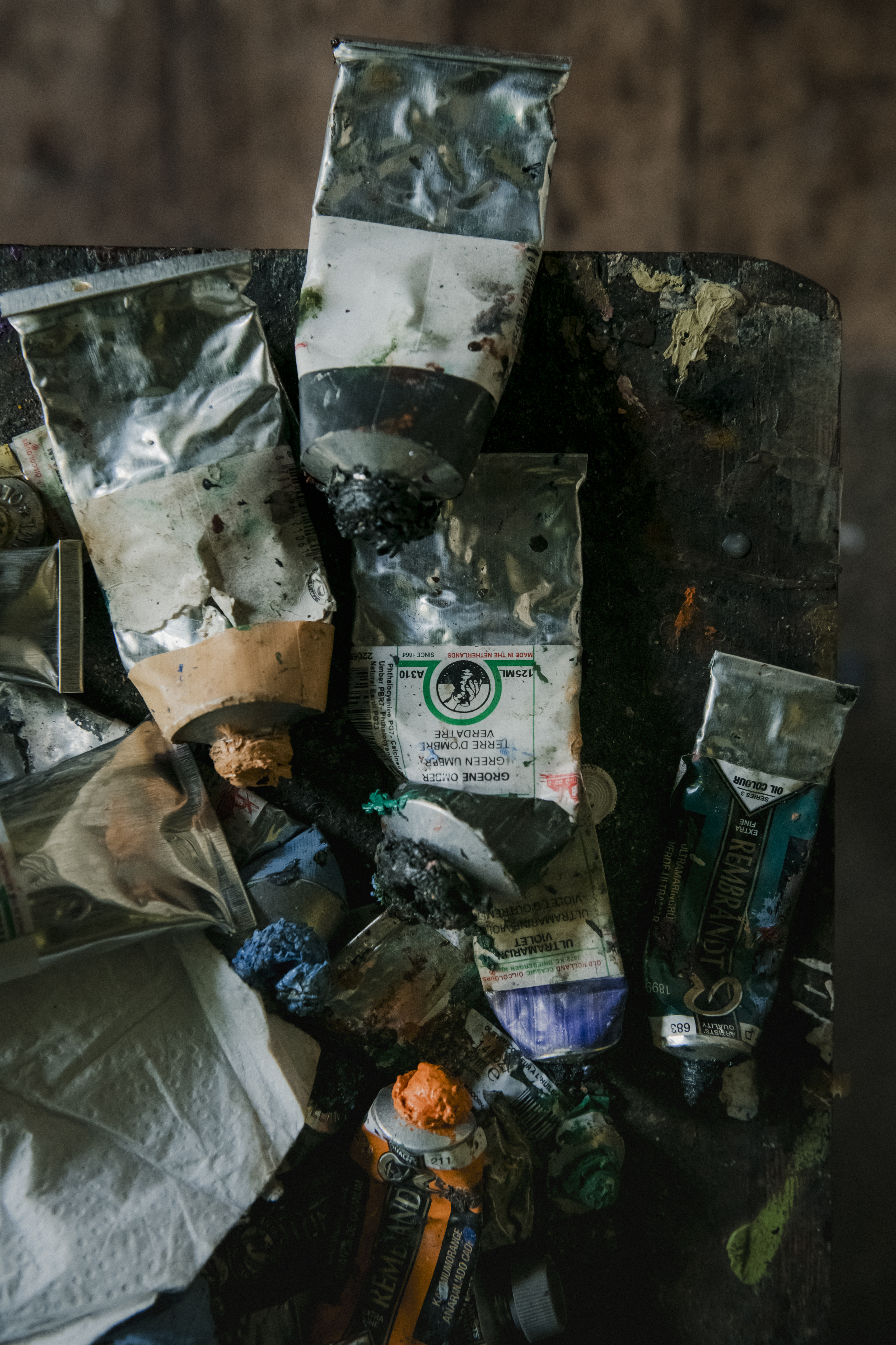 Portretfotografie Kunstschilder Portretfotografie Kunstschilder