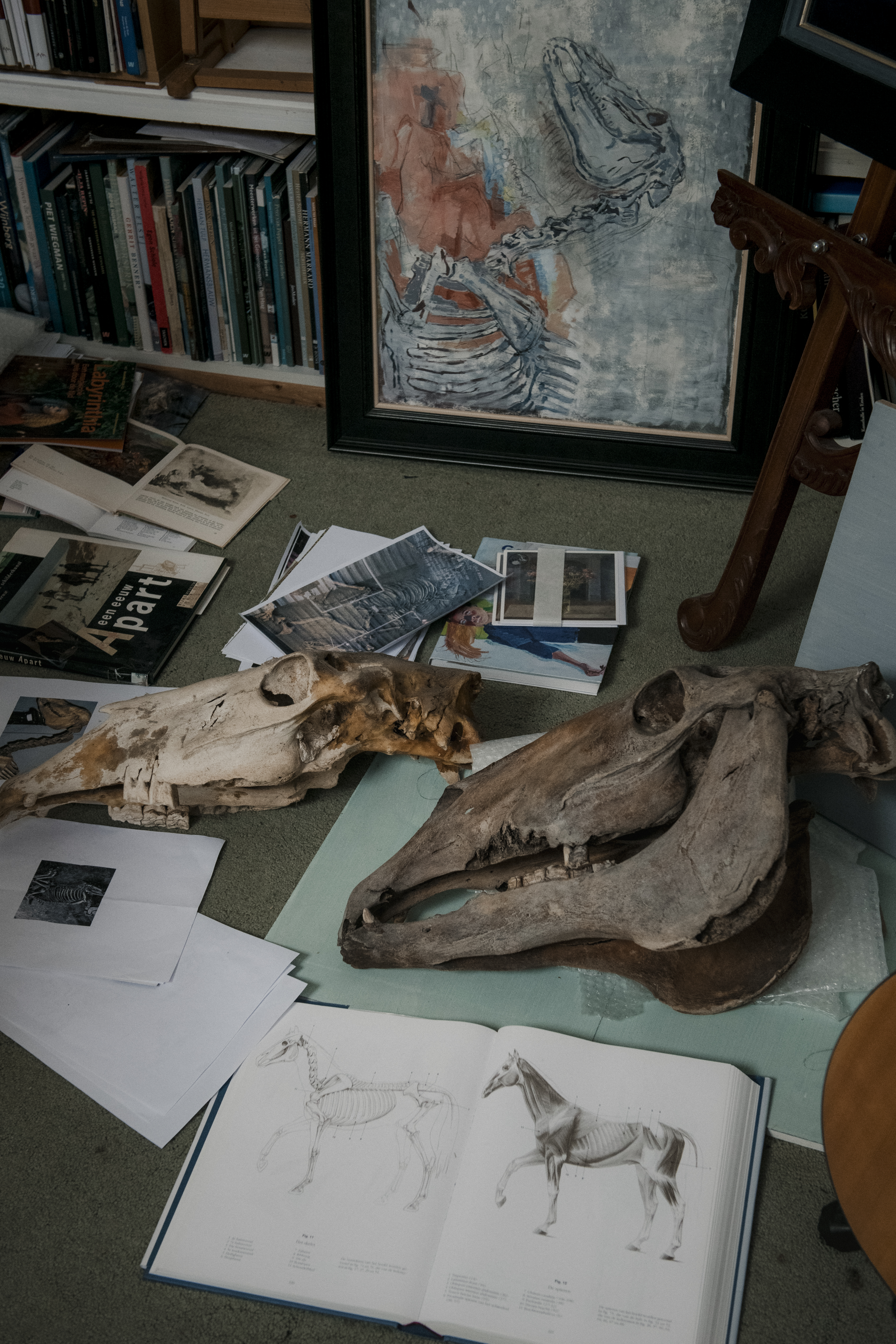 Portretfotografie Kunstschilder Portretfotografie Kunstschilder