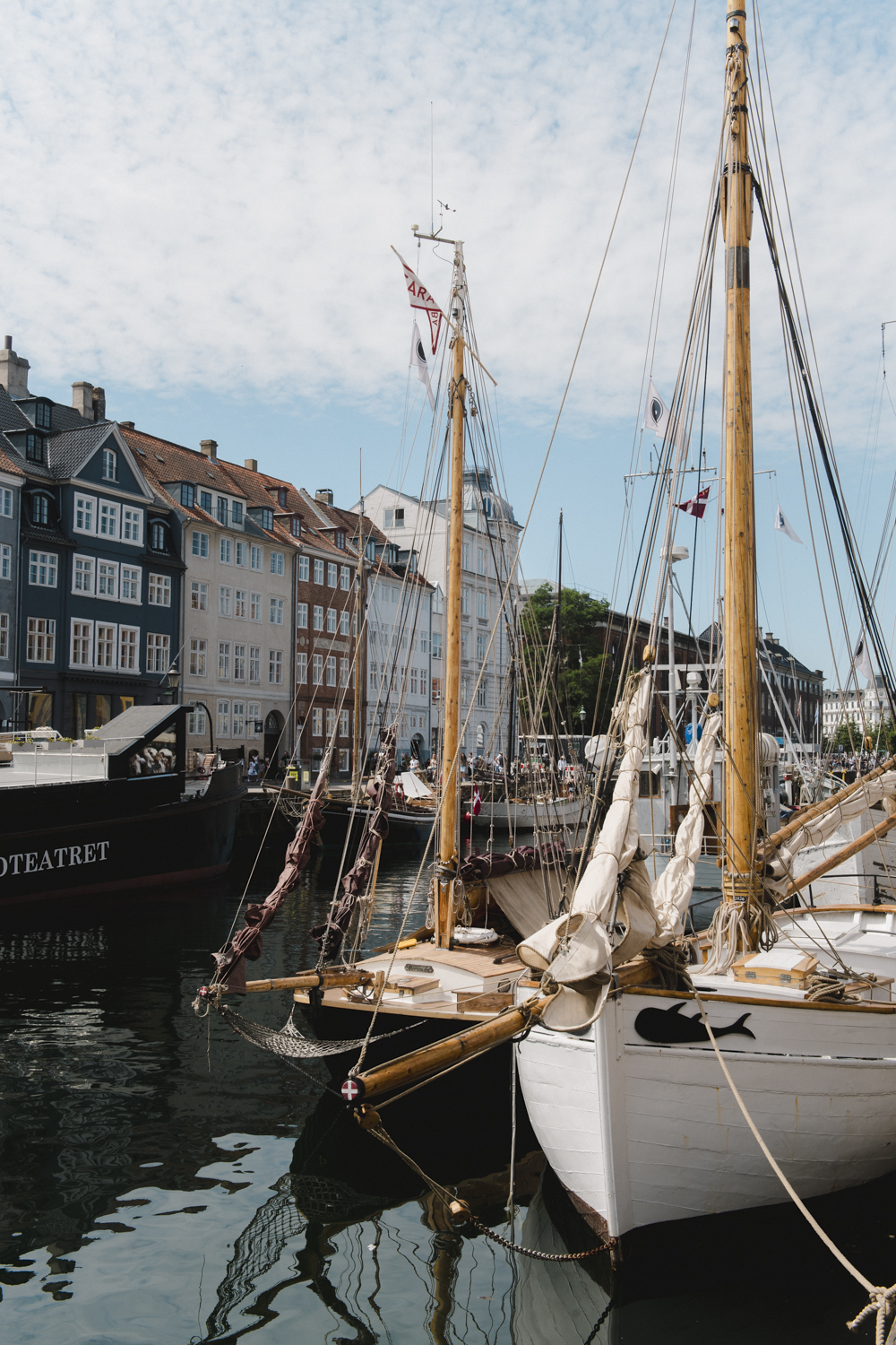 Reisfotografie van Denemarken met Møns Klint, Kopenhagen, Nyhavn, Vesterbro, Christiania, CopenHill, Roskilde, Kolding Fjord en karakteristieke Deense landschappen. Reisfotografie van Denemarken met Møns Klint, Kopenhagen, Nyhavn, Vesterbro, Christiania, CopenHill, Roskilde, Kolding Fjord en karakteristieke Deense landschappen.